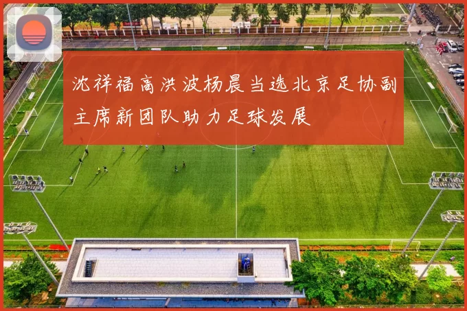 沈祥福高洪波杨晨当选北京足协副主席新团队助力足球发展