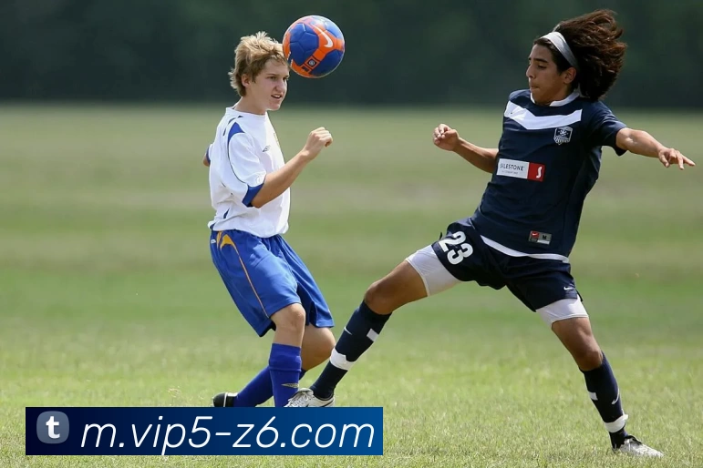 尊龙凯时品牌故事