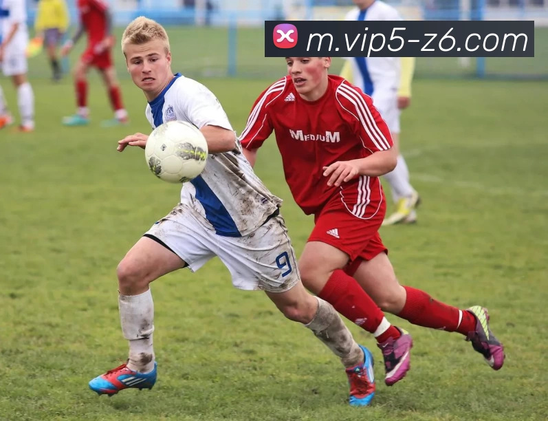 尊龙凯时服务体系